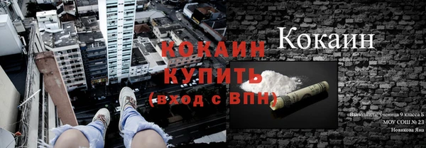 гашик Алзамай