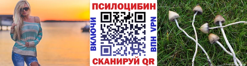 Галлюциногенные грибы мухоморы  Гдов 